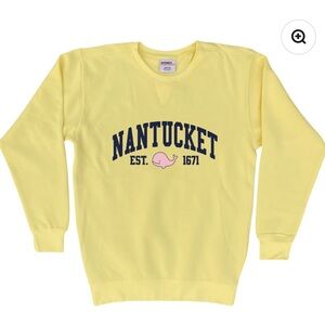 NWT Nantucket Pink Whale Fleece Crewneck Sweatshirt in 2XL